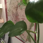Cost Гостевой дом Феррара