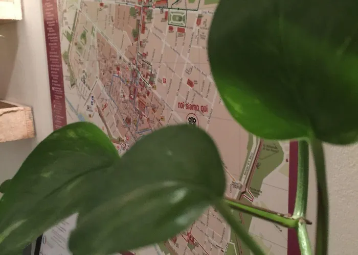 Cost Guest house Ferrara